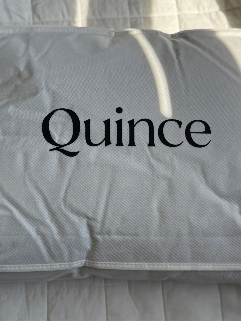 Quince Luxe Goose Down Pillow Standard Medium Firm 750 Fill New